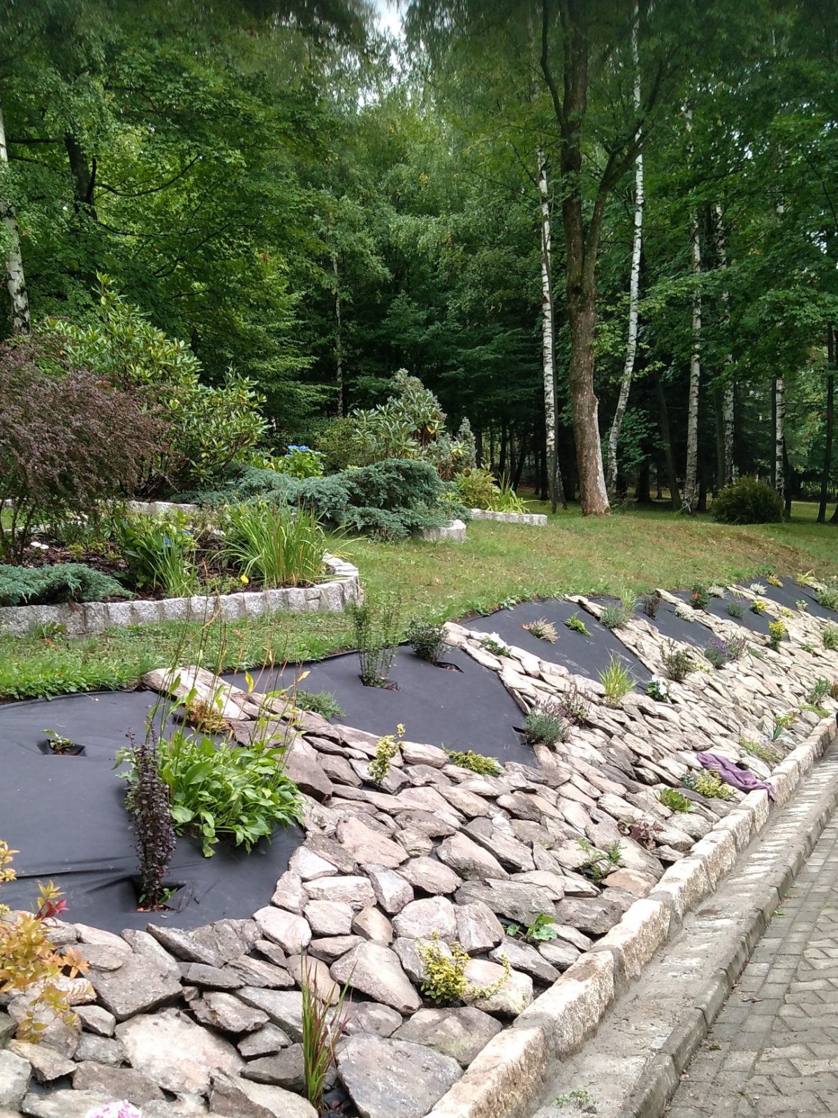 Zagospodarowanie terenów zielonych i prace ziemne-4